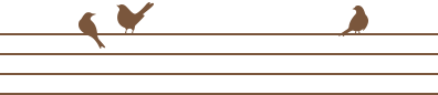 Section border